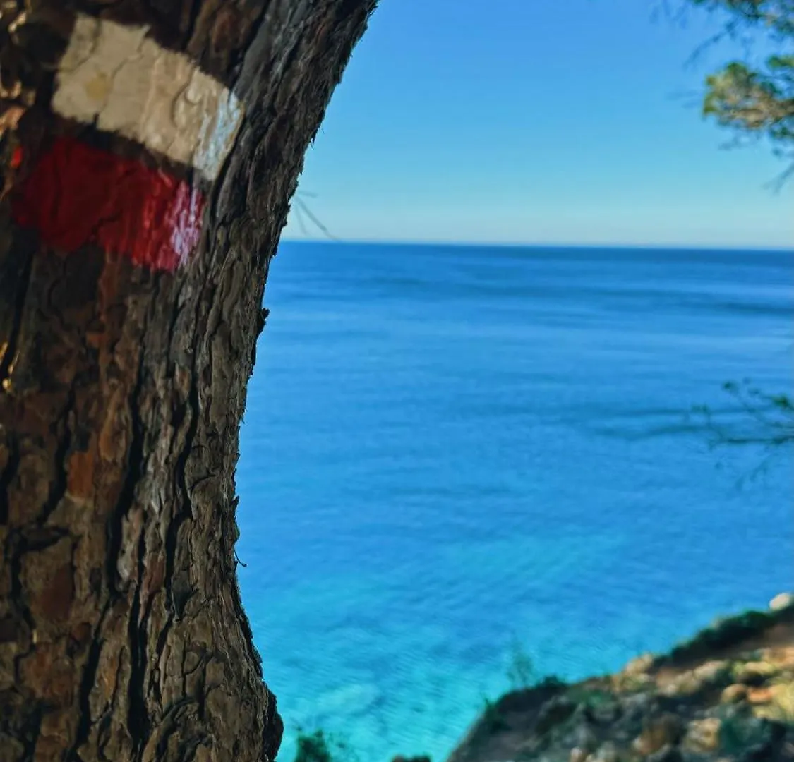 Can Romy Appartement T2F A 20M De La Plage De Cala Montgo L' Escala
